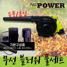 풀파워 오토컷 무선 블로워 B20, 1개