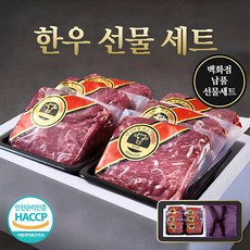 [백화점갓성비] 실속 프레시 한우선물세트 1등급 한우 소고기 개별포장 명절 추석 설 선물 세트, 1박스