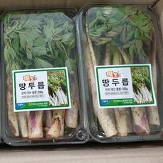 영호네농산물 햇 땅두릅, 1개, 200g