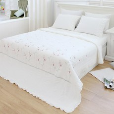 부드러운아사자수스프레드 TOP01