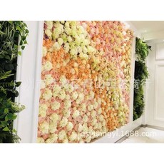 시그니엘프로포즈