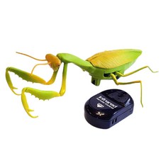 무선조종사마귀