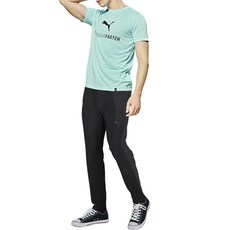 퓨마