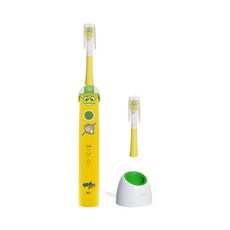 아쿠아픽음파전동칫솔aq-120