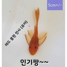 fb3a31c5c230639c8cc977047261e71edb0aeacfef94e1b40b66dd925d52.jpg