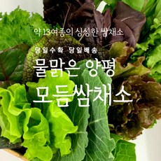 양평 지평읍 농장직송 모듬 쌈채소 600g 1kg (13종), 1개