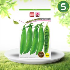 완두씨앗 500g 준완두 완두콩 씨앗 조생종, 1개