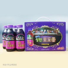 세례식 성찬포도즙 500ml 2병 성례 포도쥬스, 2개