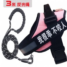 순금테디베어