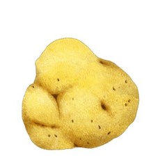 뷰티풀스킨천연해면스펀지