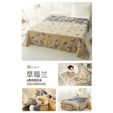 모던하우스거즈블랑켓