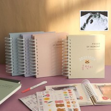 코니테일레터링초음파앨범