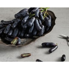 대부도아우라포도농원