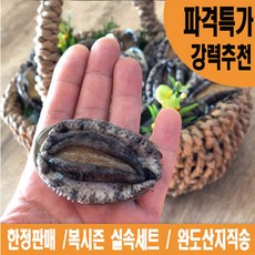완도활전복 삼계탕용 10~12마리 500g_1~2인용, 1개