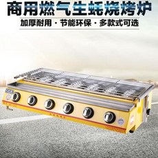생선구이기 굽는기계 상업용 전기그릴 쌍치가스구이로 가정용 가스액화굴구이글루텐 친환경, 01 작은쌍두대강편
