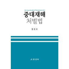 중대재해처벌법