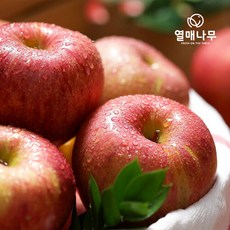 [열매나무] 못난이 사과 3kg+3kg 박스당 9~16과, 단품