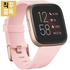 핏빗 버사 2 스마트 밴드 Versa 2 쿠퍼 로즈, 단품, 단품