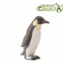 컬렉타미니해양동물