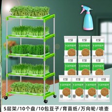 오스린콩나물
