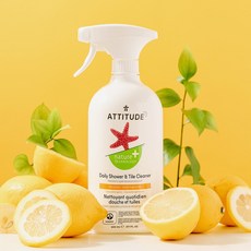 에디튜드얼룩제거제