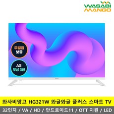 와사비망고tv