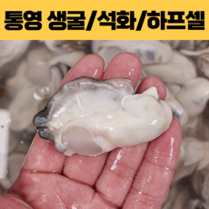 깐굴5kg