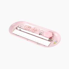 카카오프렌즈 리틀프렌즈 미니틴트레이 데스크정리함 펜접시 카카오펜트레이, 어피치