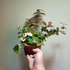 9ef25c0d169ff533cff06844d7f5c22c508cc6b1fdb1d866de8141ae953a.jpg