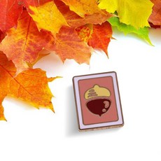 모동숲아미보카드5탄