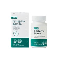 플러스엑스팜 약국전용 마그네슘 350 플러스 B6, 1통, 90정