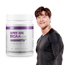 칼로바이 퍼펙트 파워 BCAA 6000 아미노산 300g, 1개, 1개