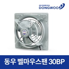 dwv-30bp