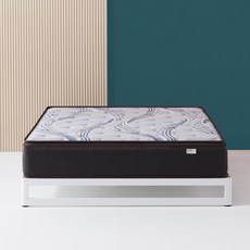 스텐다드엘라스틱폼베개