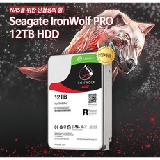 씨게이트 아이언울프 프로 12TB ST12000NE0008(7200/256M)HDD 하드디스크 - 아이언울프12tb