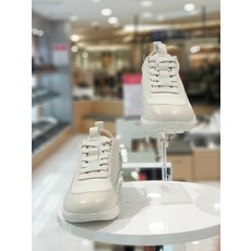 탠디옥스포드화