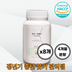 브이포뮬러 600mg