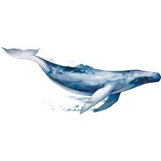 고래포인트벽지