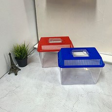 채집통 (색상랜덤) 대(4호), 단품