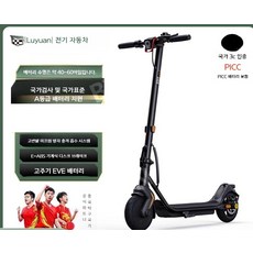 Luyuan 전기 스쿠터 접이식 전기 자동차 소형 2 륜 스쿠터 성인 교통 접이식 스쿠터, 보급형 8Ah 40-60마일, 48V