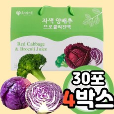 4색보감양배추즙