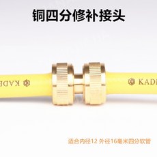 밤비노블