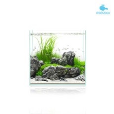f11782f8eab3461a00c9d8c5b998459152b84cecfd12cd552ad27fc2f4a5.jpg