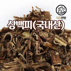 기관지염약초