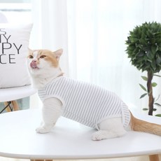 요기쏘 고양이 스트라이프 중성화복, 화이트