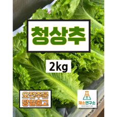 [채소연구소] 청상추 1kg 2kg 4kg 당일수확 상추 산지직송, 1개