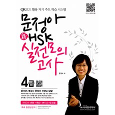 문정아중국어문법