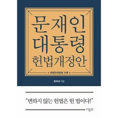 문재인대통령헌법개정안