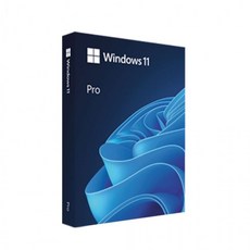 Microsoft Windows 11 Pro FPP 윈도우 프로 패키지 처음사용자용 USB설치 기업용