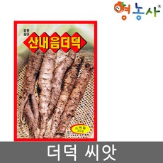 더덕씨앗
